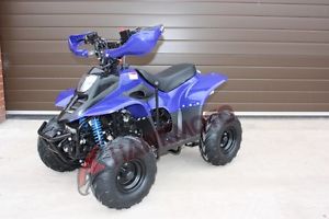 110cc KIDS QUAD BIKE THUNDERCAT | AUTOMATIC WITH REVERSE | FREE DELIVERY