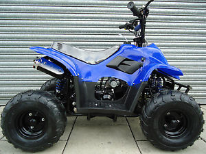 NEW KIDS QUADS 90cc 110cc QUADS WITH REVERSE 4 STROKE DIRT MONSTER RAPTORS