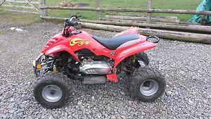 Adult Quad Bike