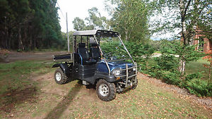 utv buggy