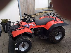 Suzuki Quadrunner 250