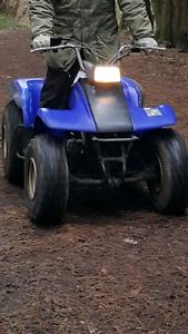 Yamaha Breeze 125cc Automatic Quad Bike. NOT suzuki polaris honda banshee