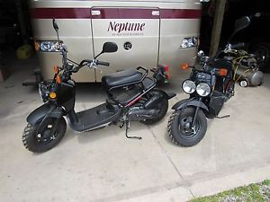 2015 honda ruckus scooter