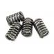 CSK Clutch Spring Kit