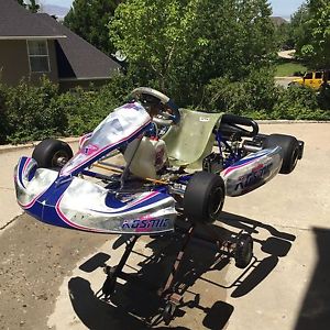 Kosmic Mercury Rotax Max FR125 Senior Kart CRG BirelArt Tony Kart 125cc Go-Kart