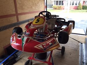Birel junior rotax racing kart
