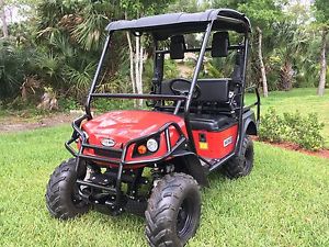 2014 bad boy buggie Instinct