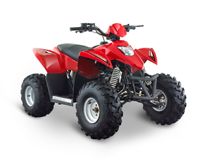 Crossfire Avenger 110cc EFI Fully Automatic manual Farm ATV quad bike motorcycle