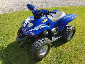 Apache 100cc childs quad