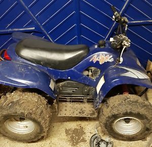 apache 100cc quad