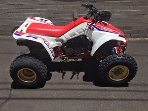 1986 Honda TRX250R Fourtrax