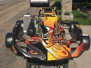 Intrepid Rotax 125cc Senior Kart FR125 TAG Sr SKM ItalKart