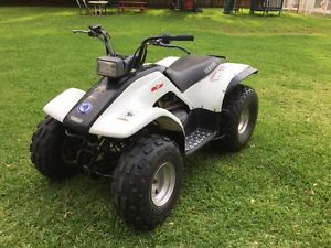 2004 Yamaha Breeze 125cc ATV w/ Reverse