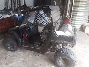 POLARIS RZR 2010 Youth Model