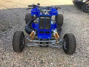 Super quad, vls, banshee, 600cc rotax engine race quad bike