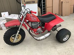 1982 Honda 250R HONDALINE 370R ATC Three Wheeler Vintage Tecate Tri Z TRX