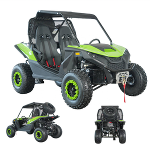 Tong Cai Hot Selling Utility Vehicle Dune Buggy Powersports Ssv Utv 2 Seater - Buy  Product on Alibaba.com image 1