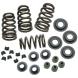 .650” VALVE SPRING KIT